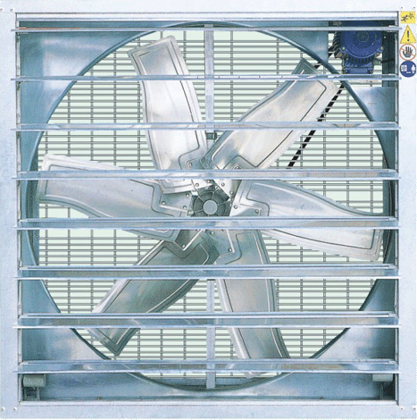 ����ַ�� �������